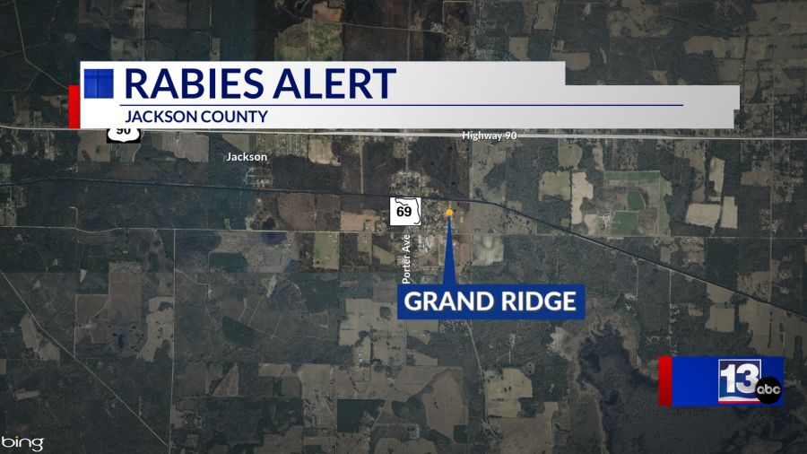 Rabies confirmed in two raccoons found near Grand Ridge