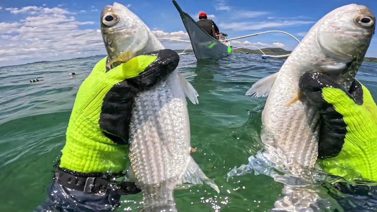 We rarely catch this fish in a net and it’s delicious