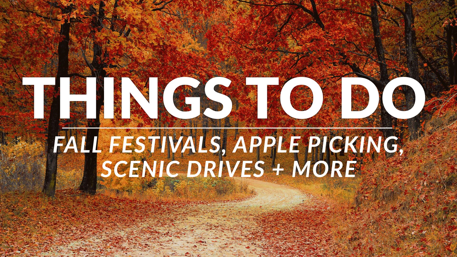 Fall festivals, apple picking + scenic drives: Things to do across the ...