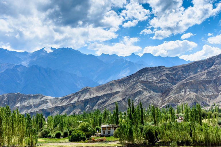 In India, this remote Himalayan region has snow leopards, extraordinary ...
