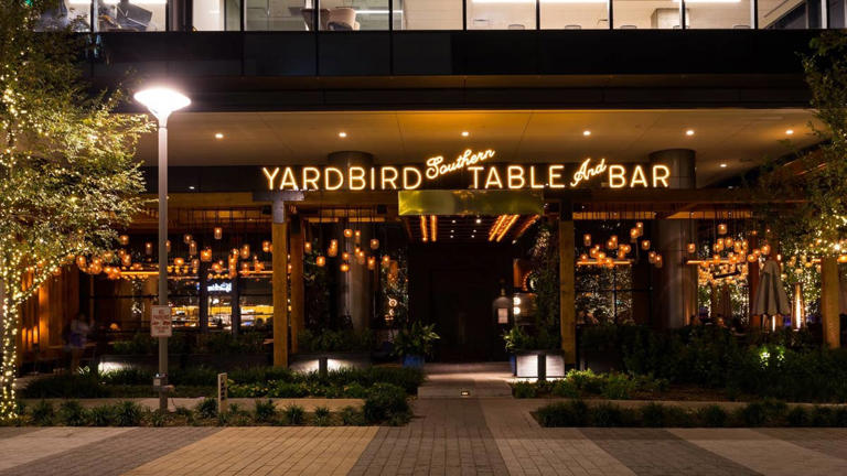 Yardbird fried chicken chain files Chapter 11 bankruptcy