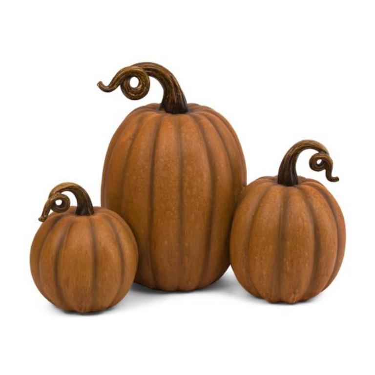 Martha Stewart's $17 TJ Maxx pumpkins are the key to unlocking a chic ...