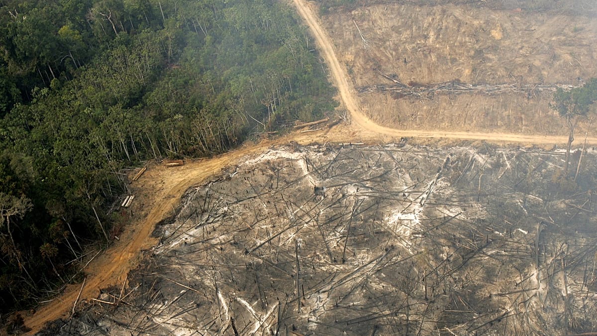 'Planetary boundaries' necessary for life breached, scientists warn ...