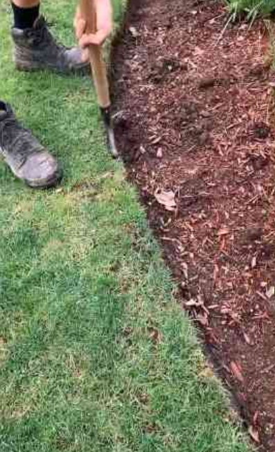 Lawn care tips for a perfectly green and healthy yard