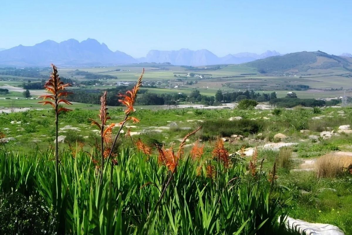 Free Entry To Cape Town Nature Reserves This Heritage Day Weekend