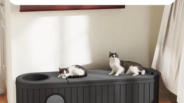 Walmart’s 3-in-1 outdoor cat cave is also a stool and planter stand