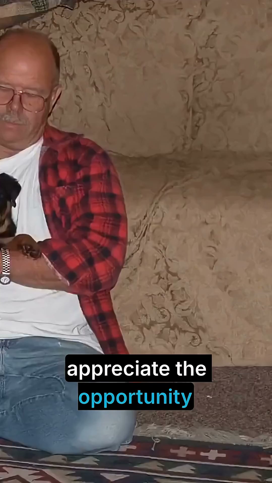 Rottweilers: Misunderstood breed, irresponsible owners?