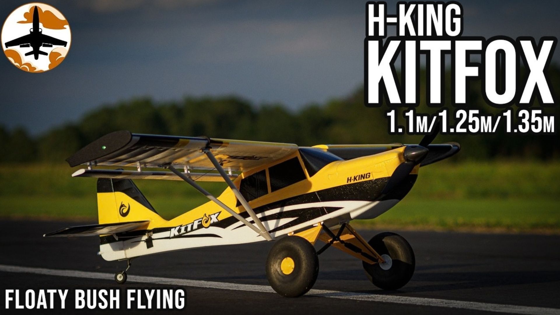 Light, floaty, inexpensive - HobbyKing KitFox 1.1m/1.25m