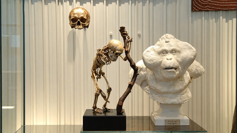 Your DNA may carry 2 extinct human bloodlines - scientists say they ...
