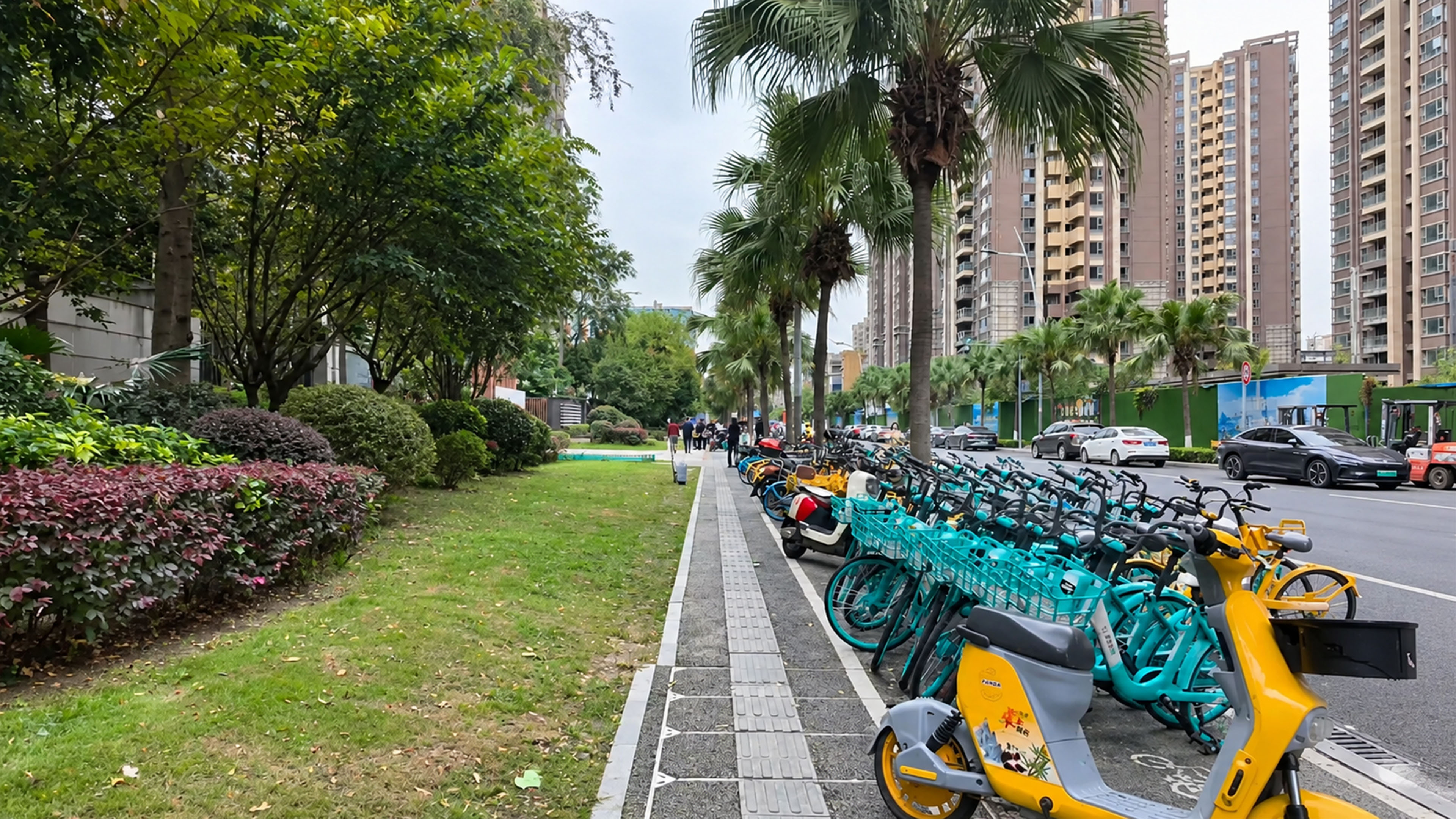 Hundreds of shared bikes meet high rise living on this Chinese street