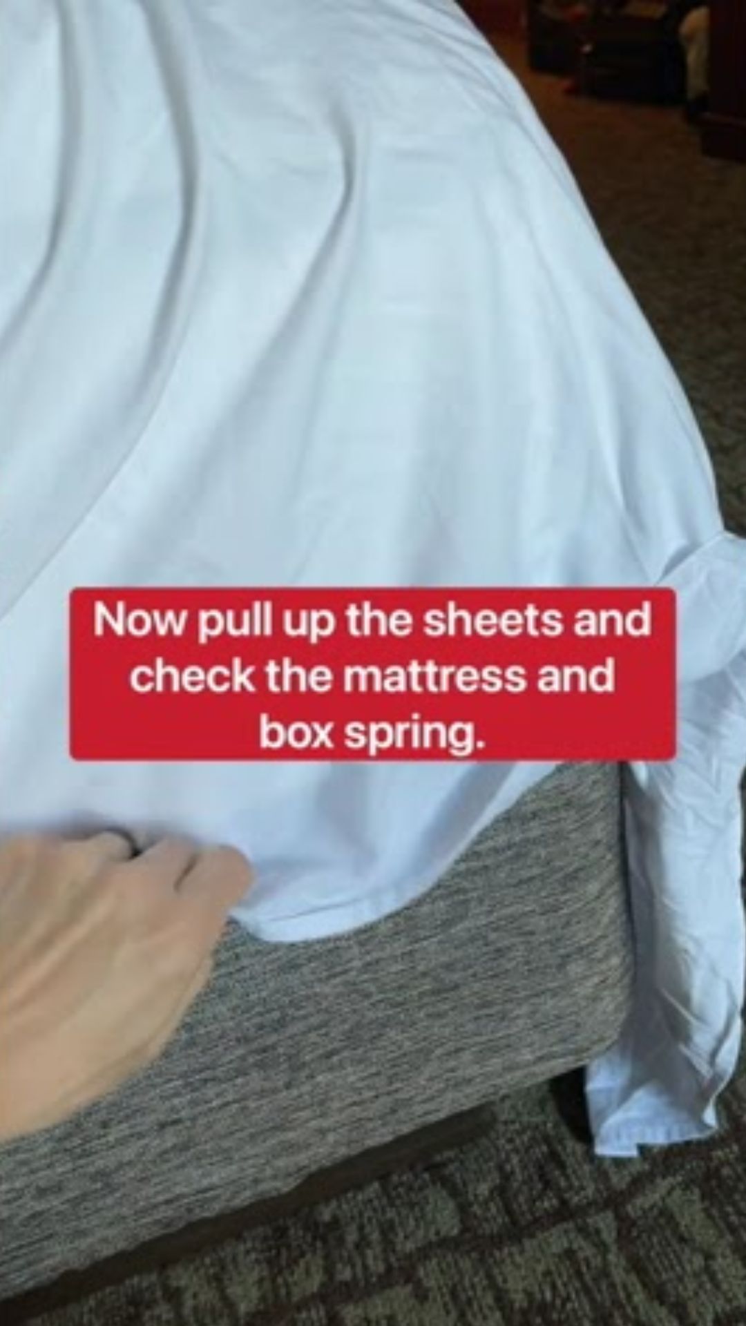 How to check your hotel room for bed bugs before you unpack