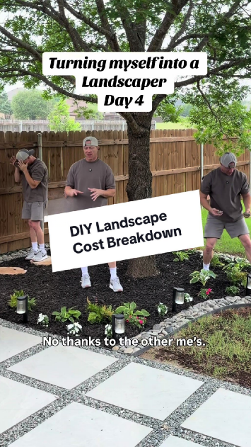 DIY landscape cost breakdown for a backyard project