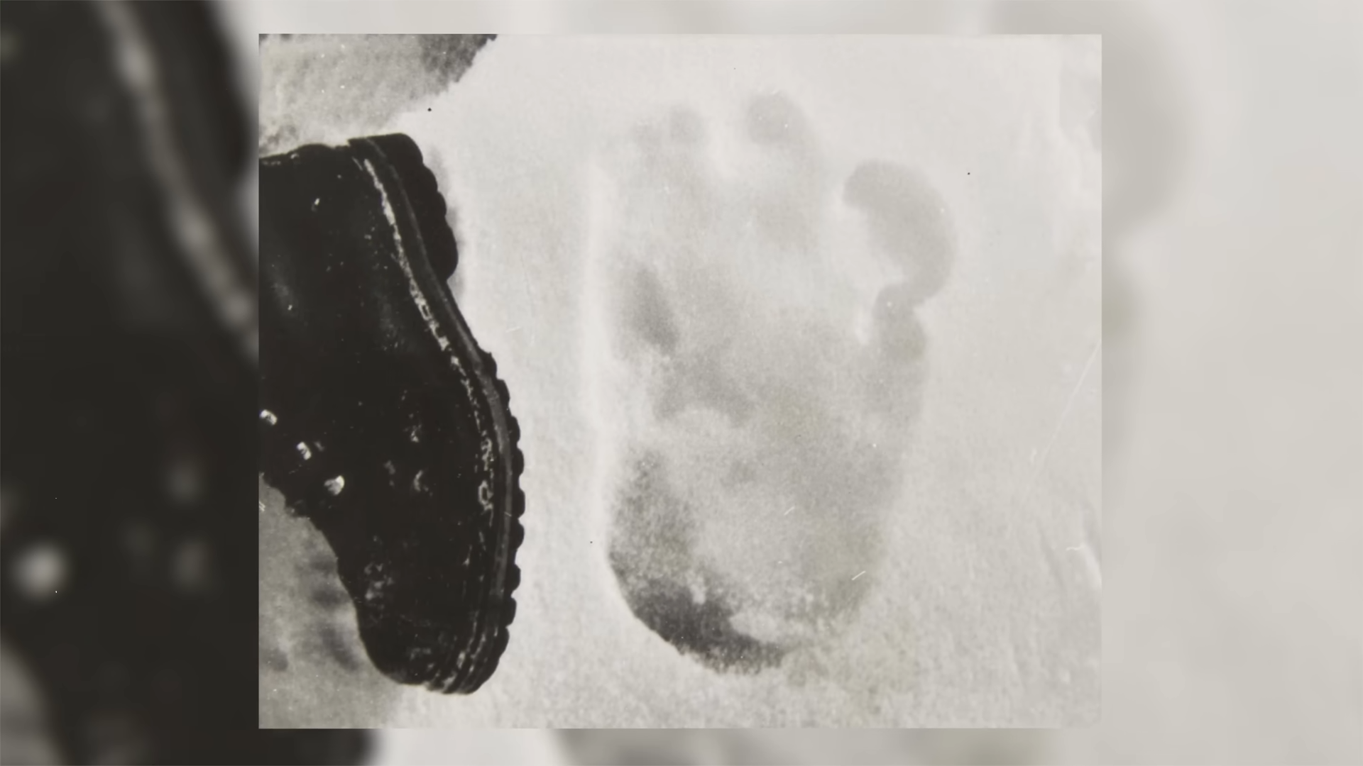What scientists found when they tested “Yeti” DNA samples