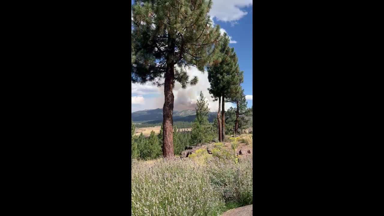 Floriston fire rages across 600 acres near Nevada-California border