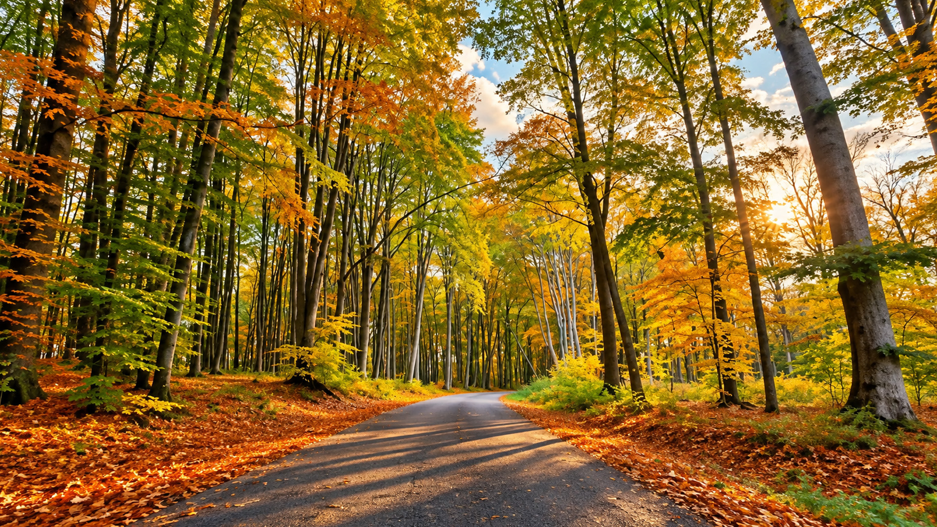 Forest road covered in golden autumn leaves