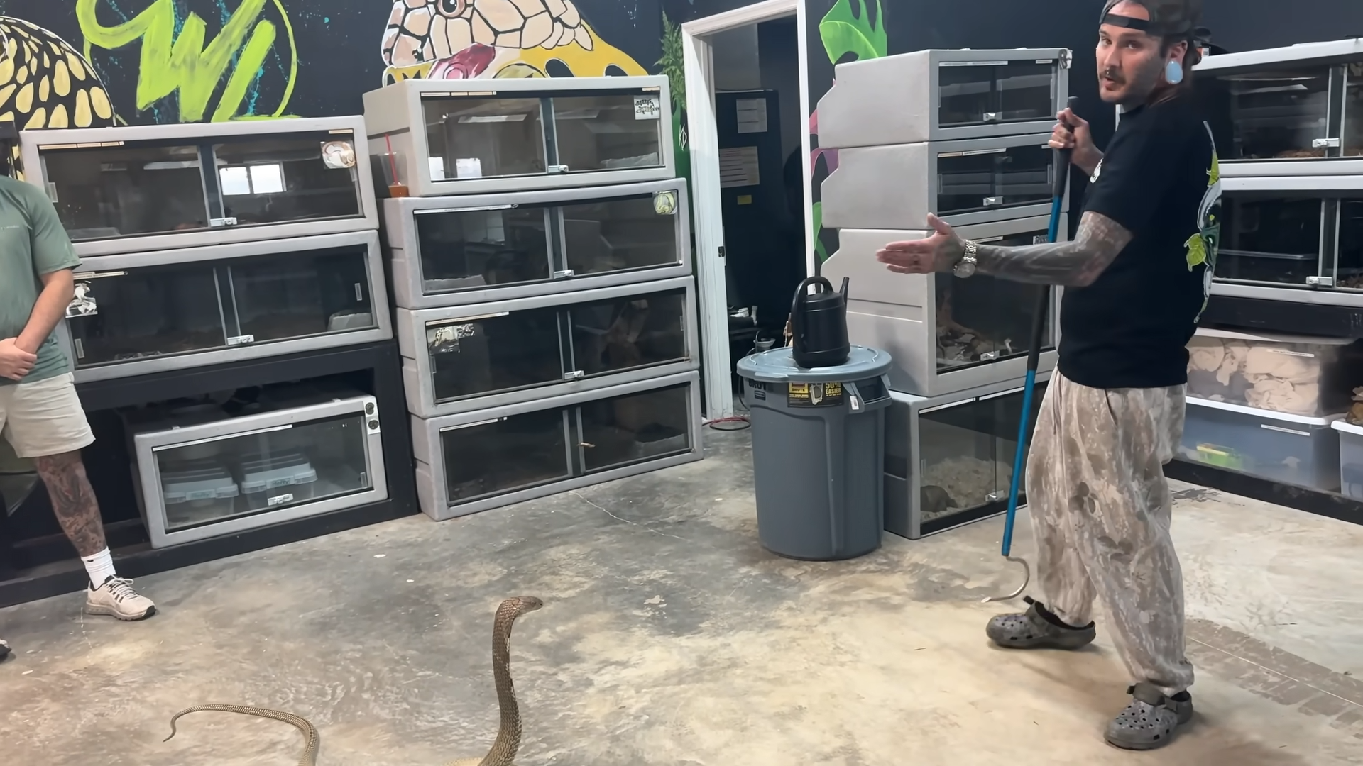 Three of the world’s most terrifying snakes were under one roof... then ...