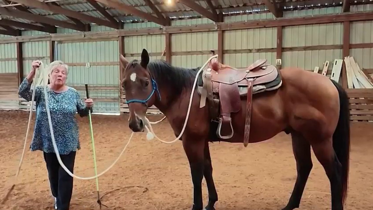 Farmers bring in extra income by offering ranch vacations