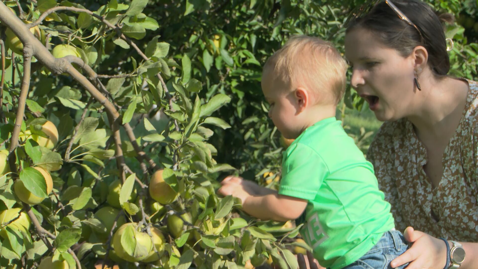 Arbor Day Farm grows family traditions at AppleJack Festival in ...