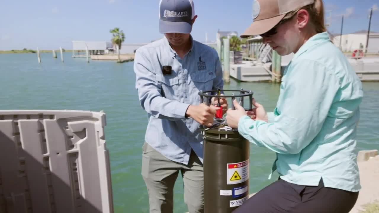 Red tide detected near Galveston as Harte Research Institute monitors ...