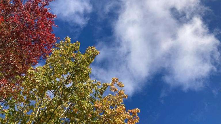 Fall arrives in Seattle — and the weather got the memo