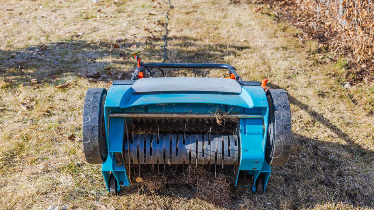 When should you aerate your lawn this fall? Key timing tips for homeowners