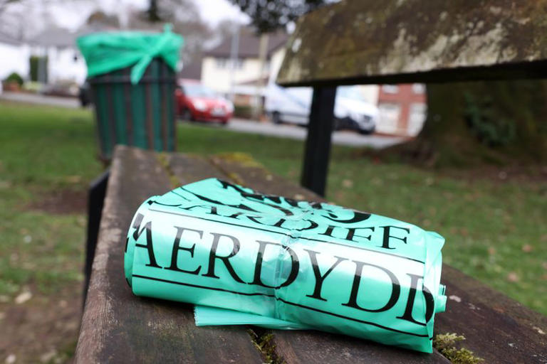 The Cardiff postcodes getting another recycling bin