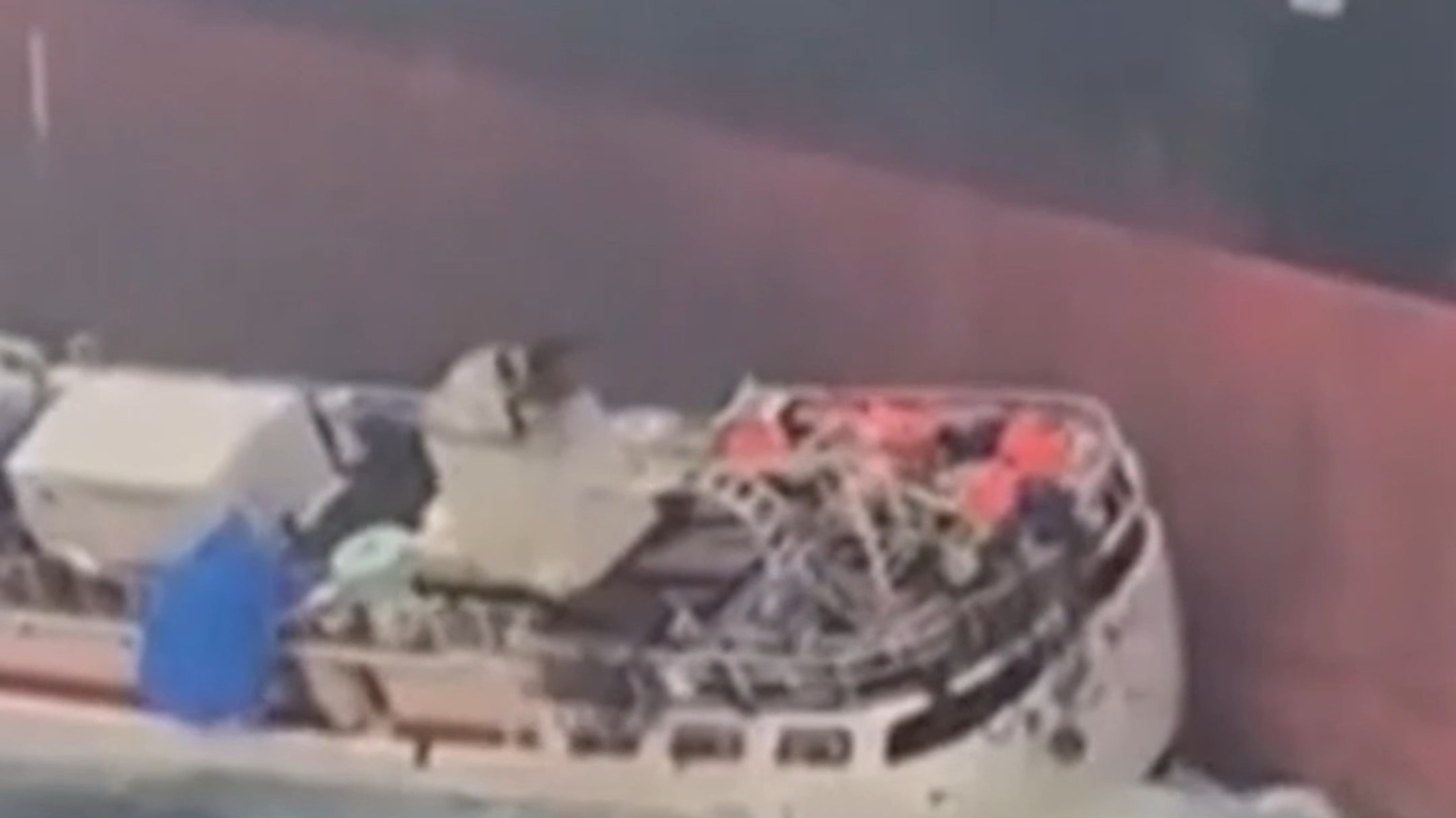 Cargo ship collides with fishing boat off Singapore