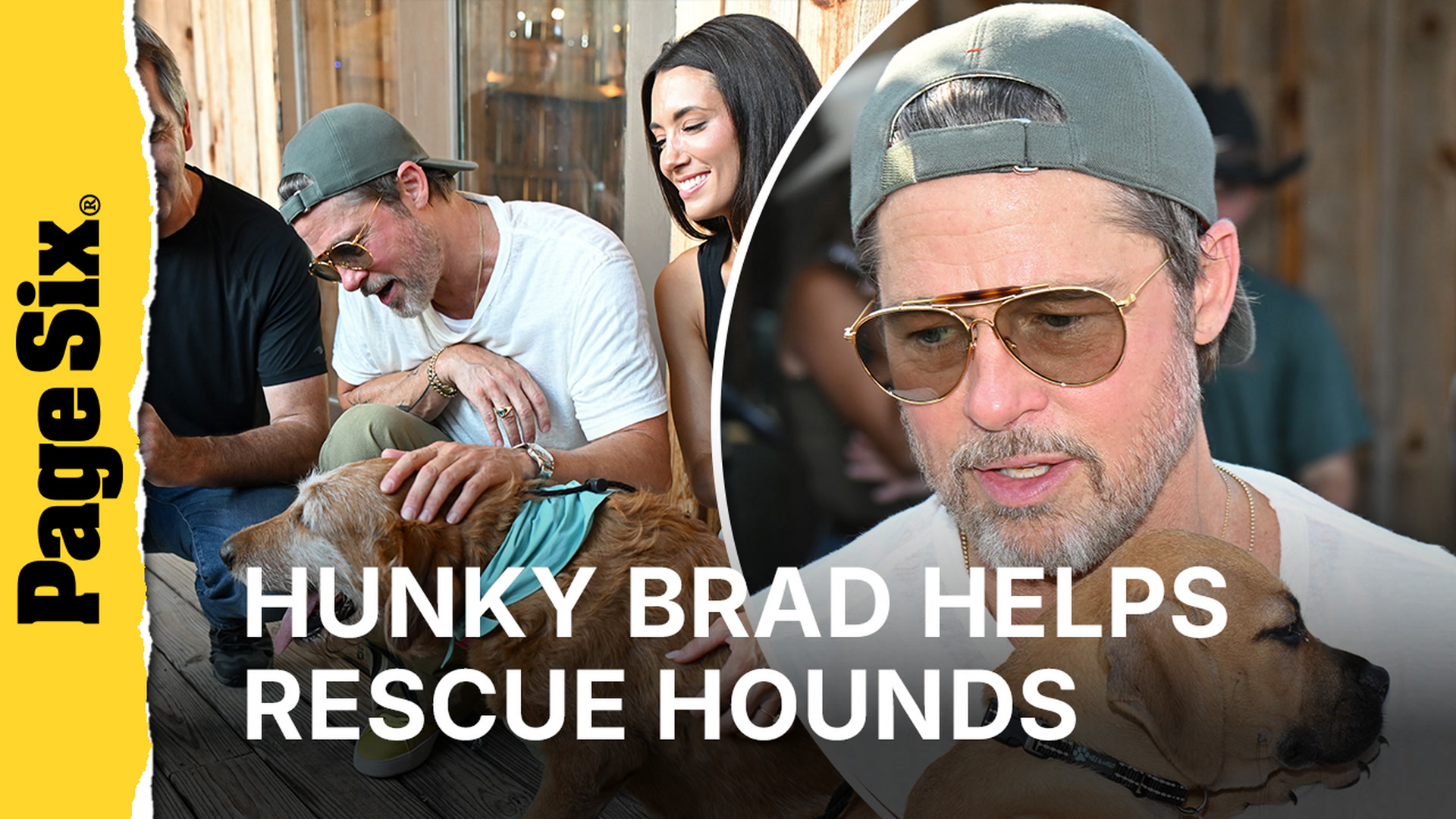 Brad Pitt holds adorable rescue puppy at 'Heart of the Beast' film event