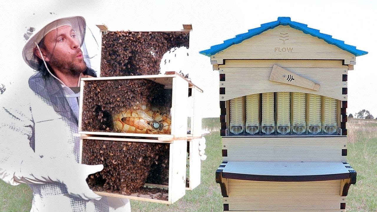 The new bee hive is here. Just in time for the bees!🐝 (Flow Hive unboxing)