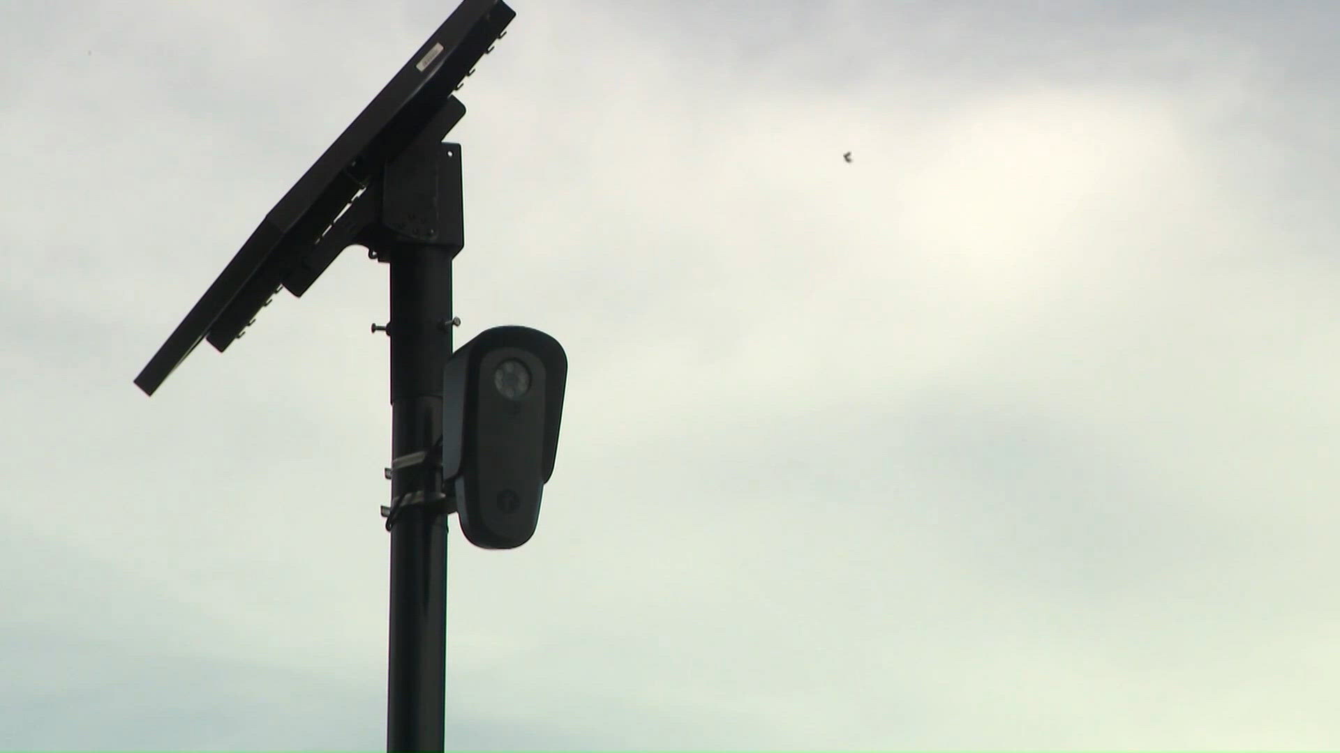 Adrian ending use of Flock license plate reader cameras