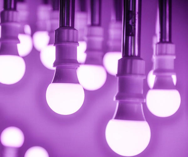 Neuroscientist sounds alarm over LED light health risks