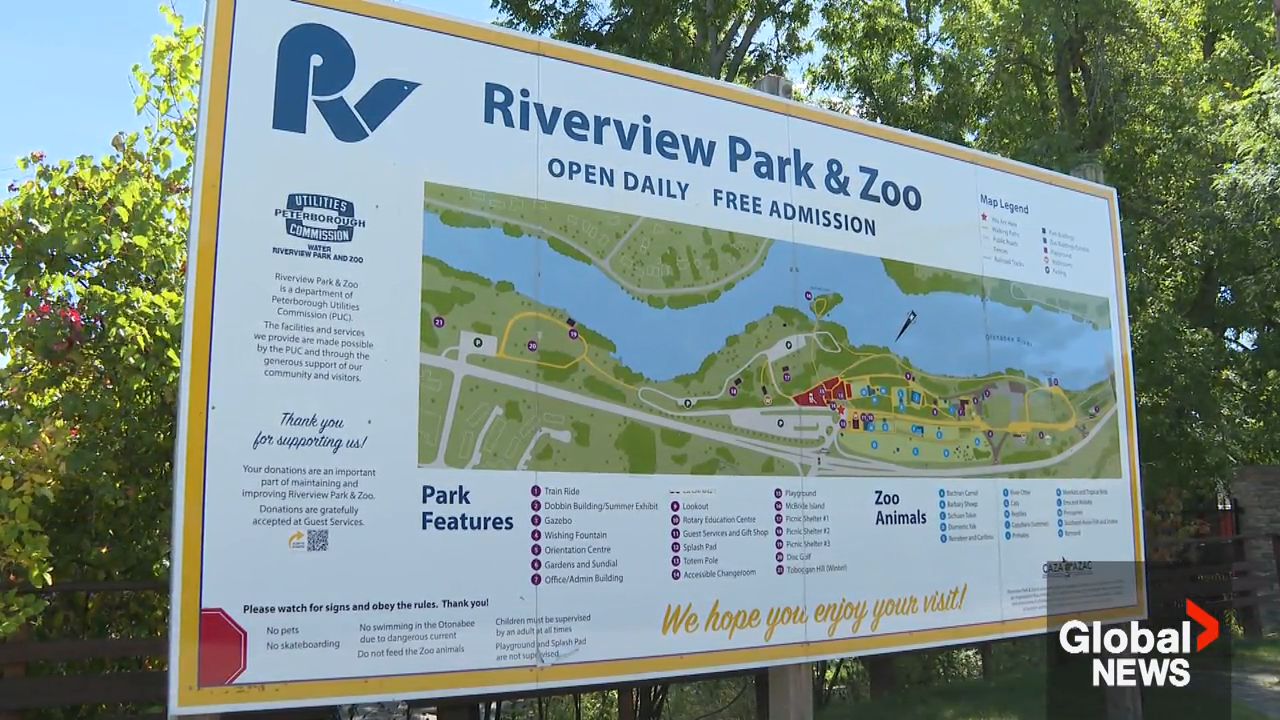 Peterborough city council divided on consultant's report with ideas to ...