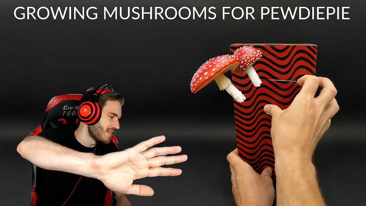 Epic mushroom growth