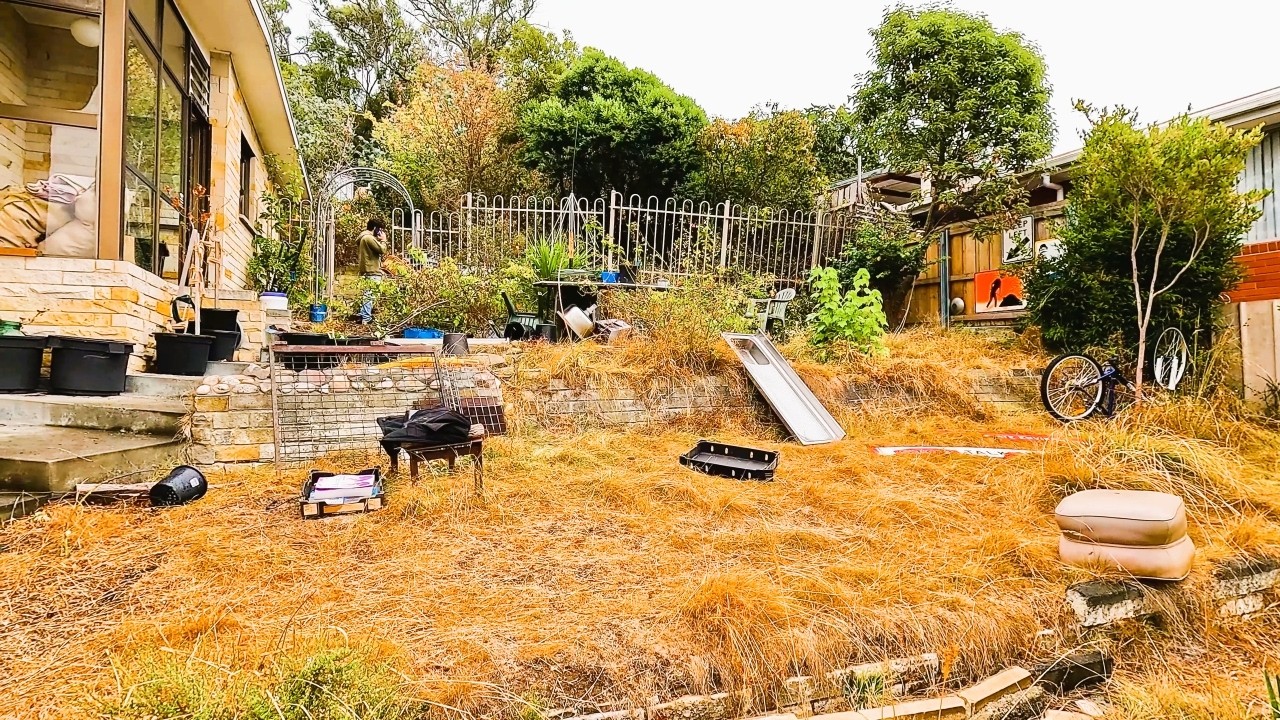 I transformed a chaotic garden in one day! 🌿