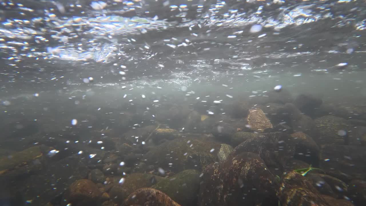 Beneath the current: River rocks and sparkling water, Golden, CO