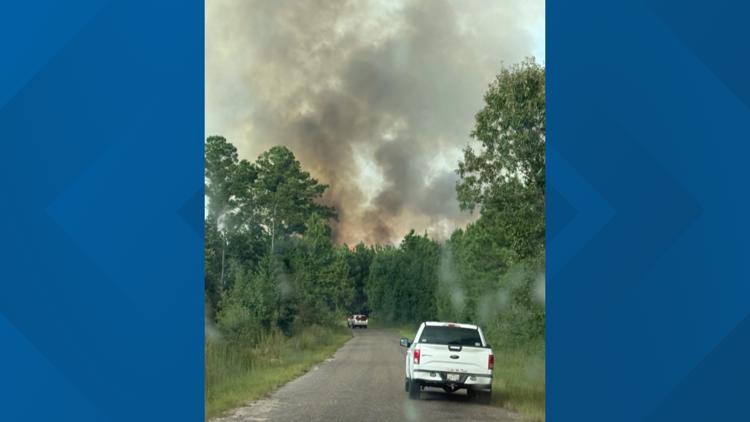 Man found dead during Jasper County forest fire identified as 52-year ...