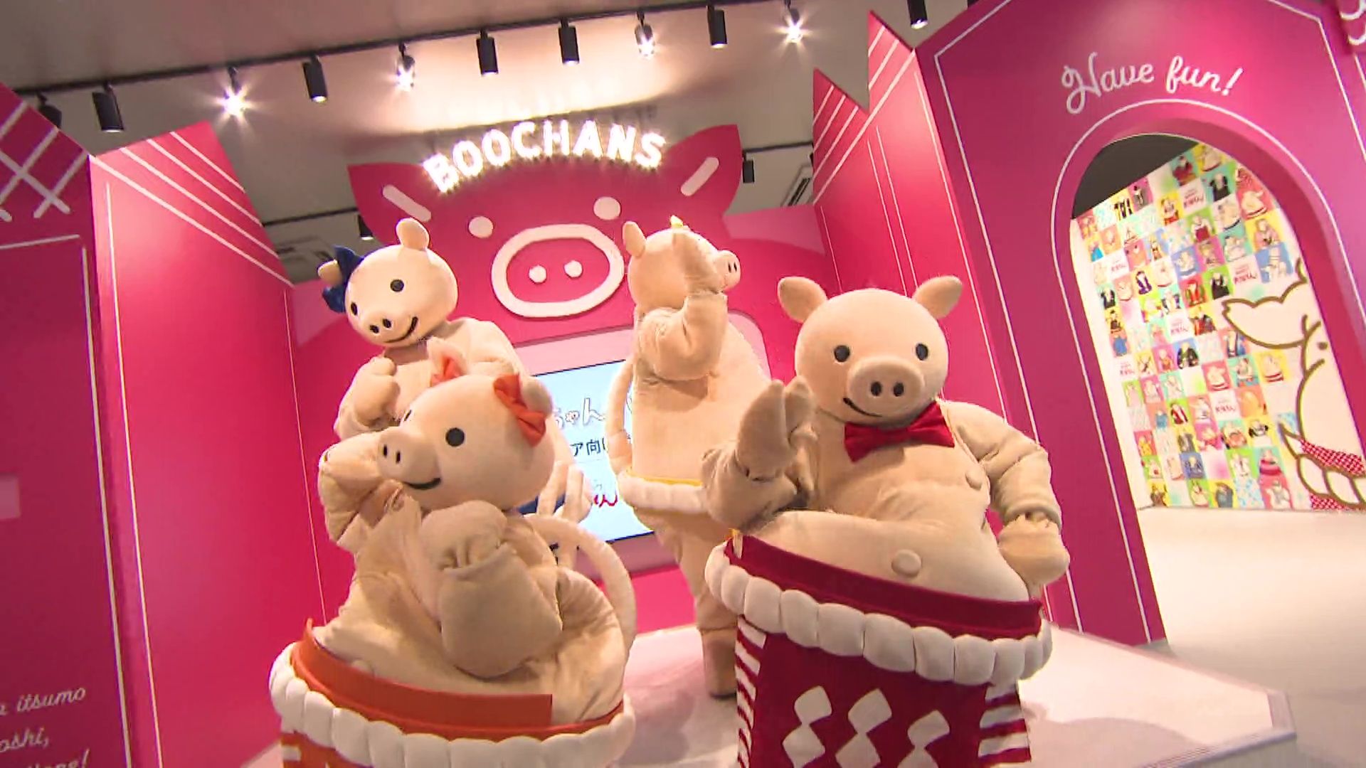 「ぶーちゃんハウス」がオープン 限定のぶーちゃんのオリジナルグッズも 矢場とんのみそかつが“1割引き” 愛知・清須市