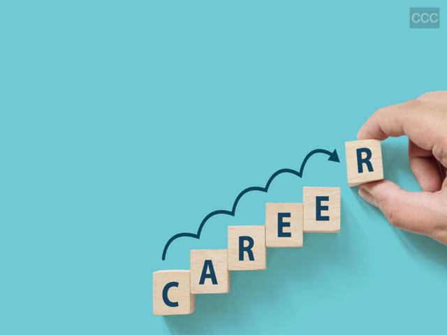 BSc computer science or BCA… which course should you choose after class ...