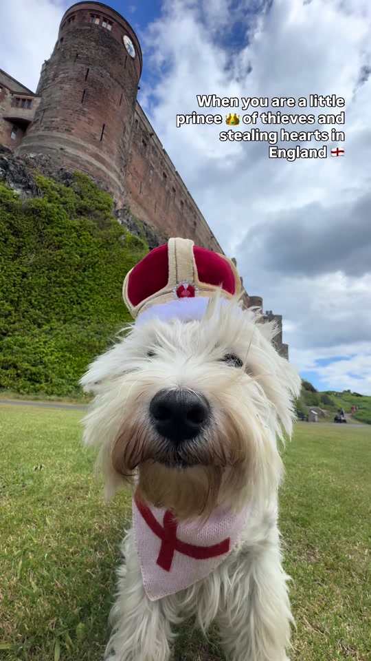 Little prince of thieves stealing hearts in England