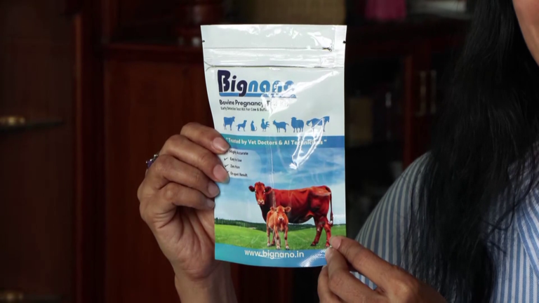Women-led startup brings early pregnancy detection technology to dairy ...