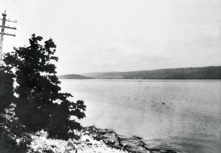 Loch Ness monster hunter says Google Maps objects not legendary 'Nessie'