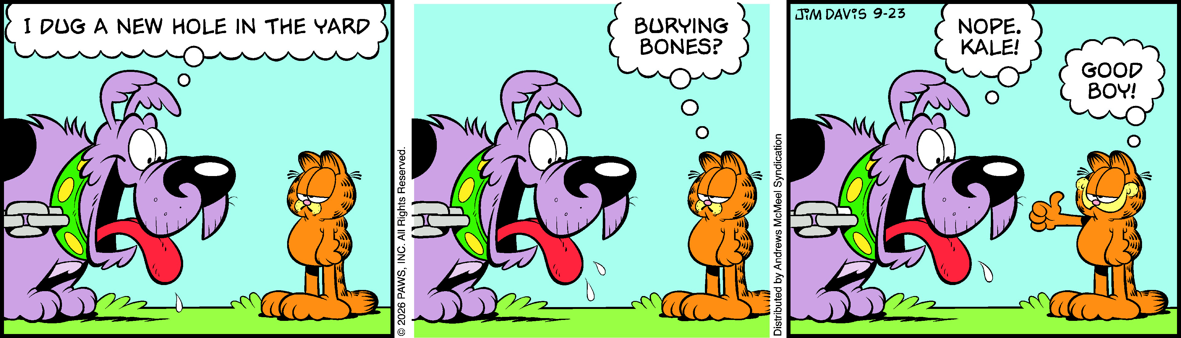 Garfield by Jim Davis