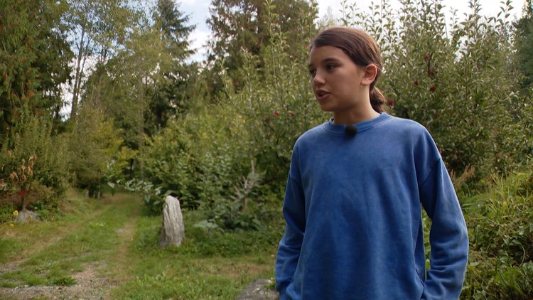 Bellingham boy fights off black bear attack in his own backyard