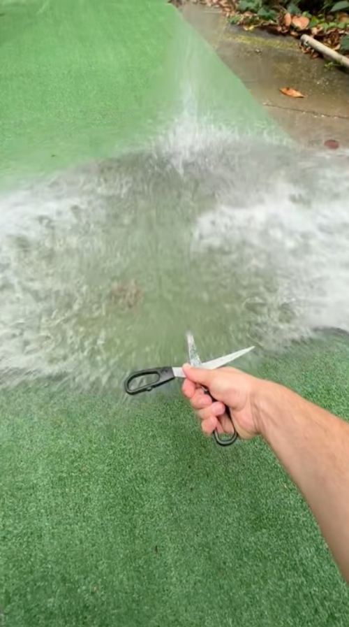 Red fish water test: watch it stretch to the limit
