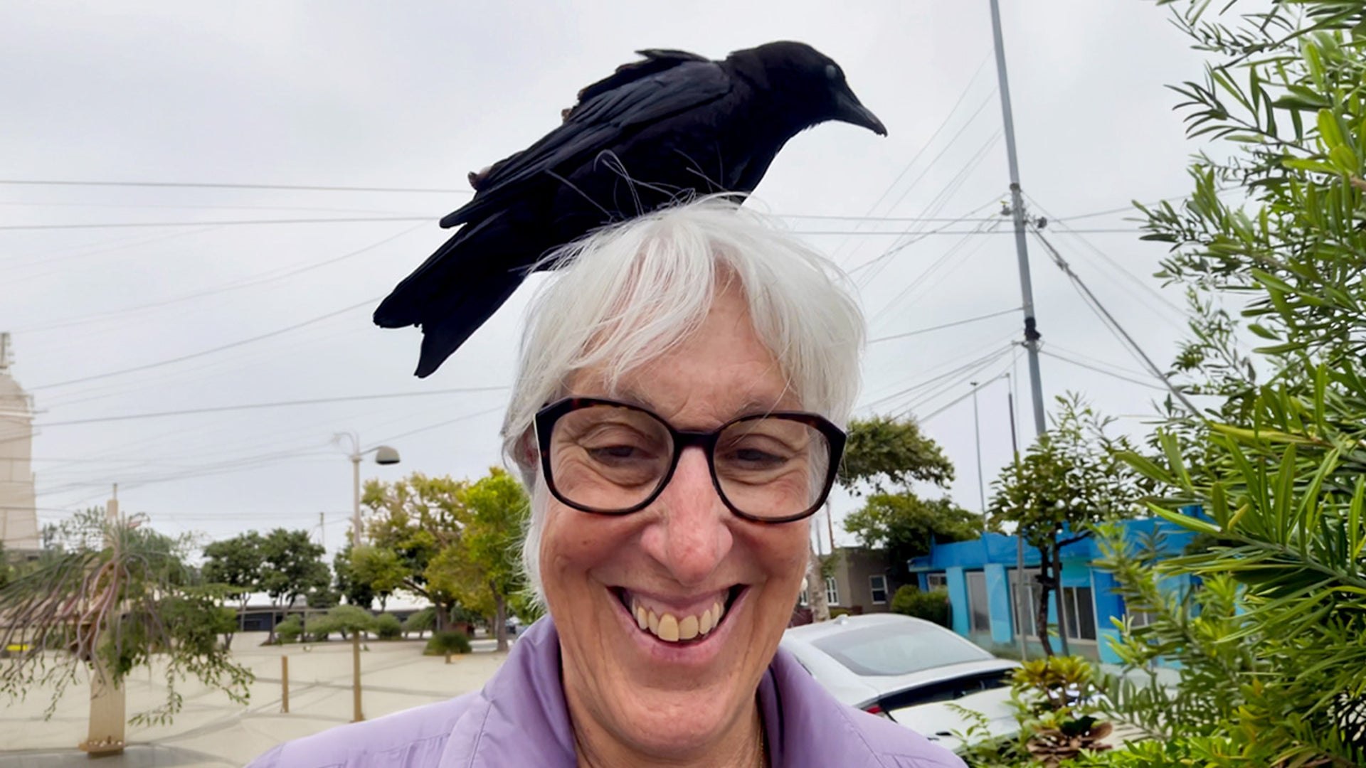 Crows keep landing on woman’s head
