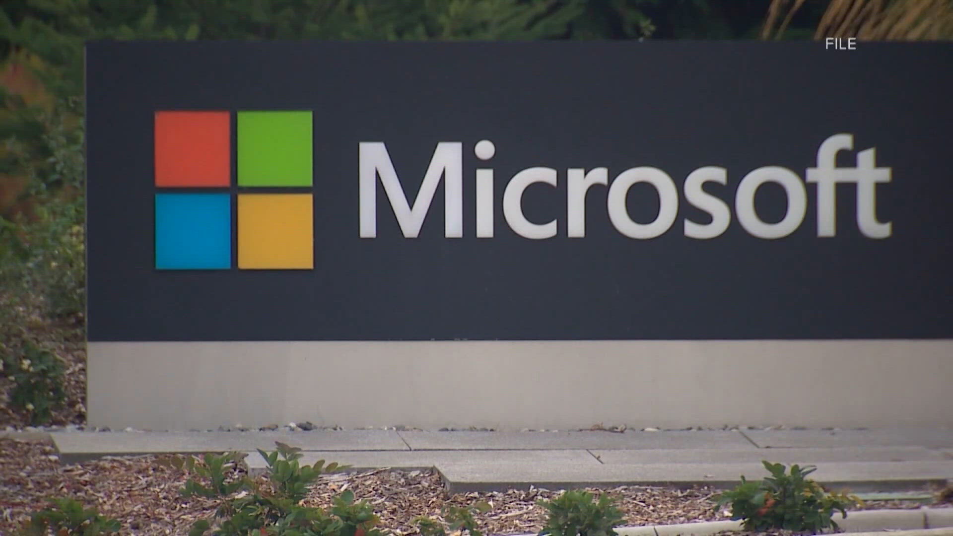 Microsoft eliminates 268 roles across Halo Studios