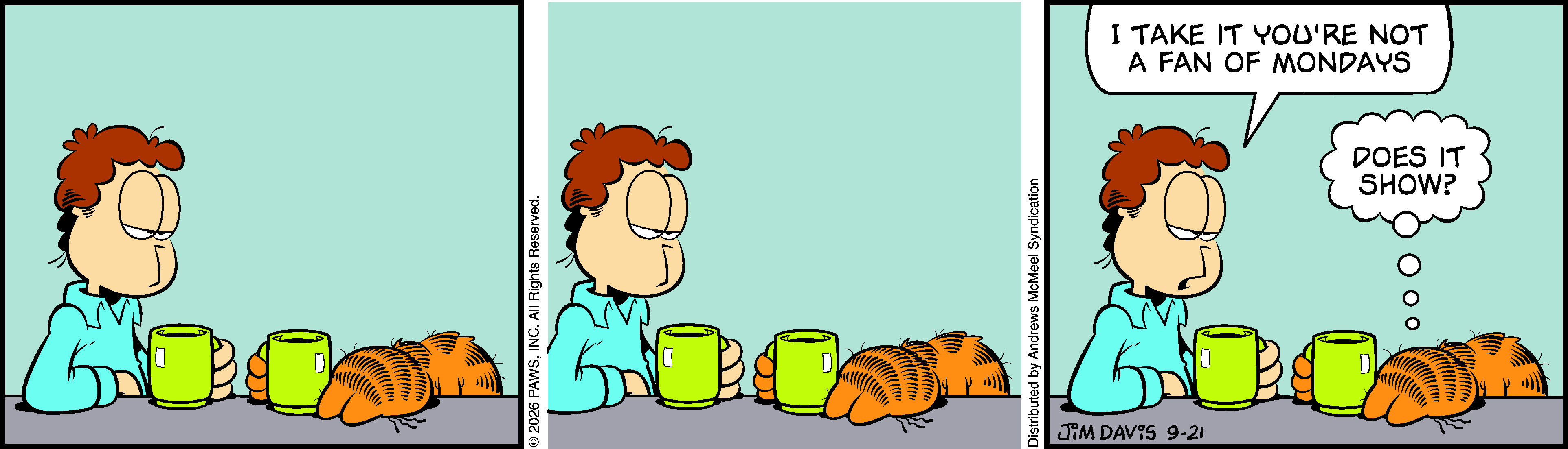 Garfield by Jim Davis