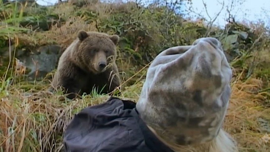 Der 450-Kilo-Grizzly, der Timothy Treadwells Schicksal besiegelte