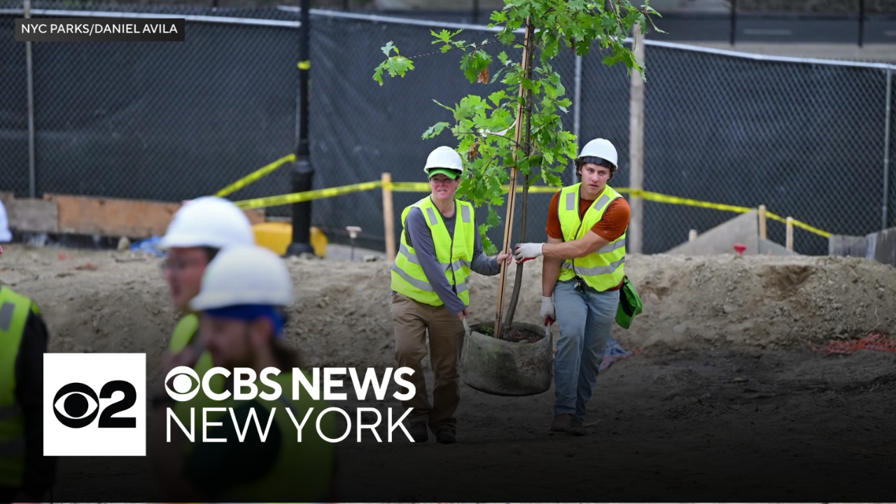 More than 18K trees planted across NYC in 2026
