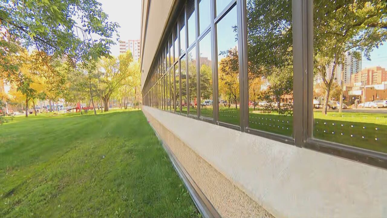 Saskatoon city hall gets bird friendly ahead of fall migration